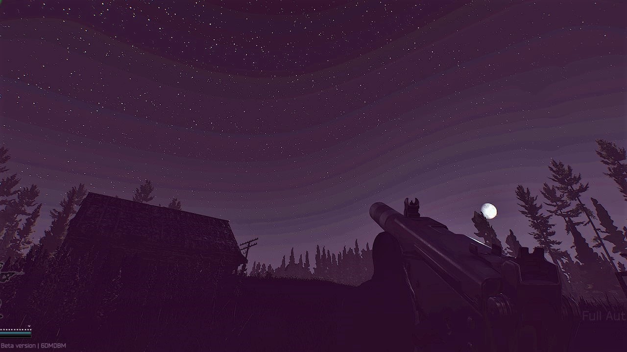 night woods